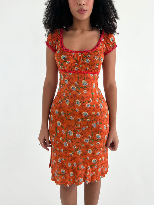 Philosophy di Alberta Ferretti dress