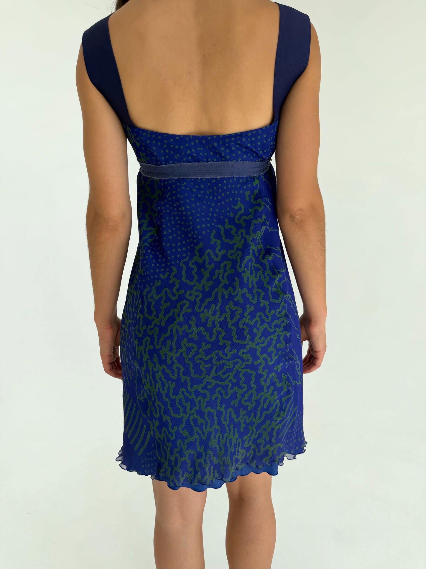 Philosophy di Alberta Ferretti dress