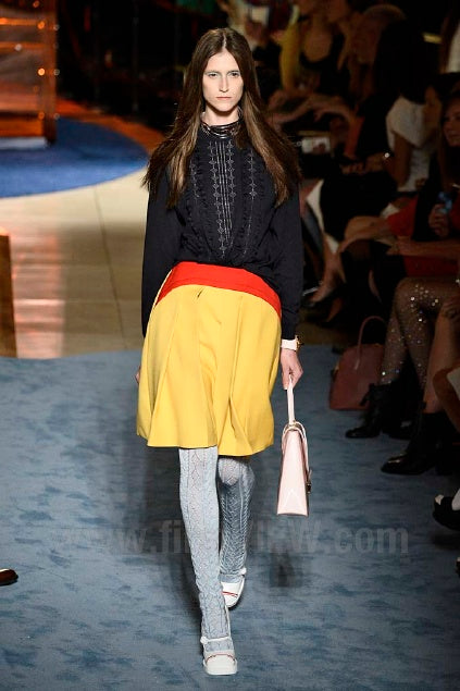 Miu Miu 2014 skirt