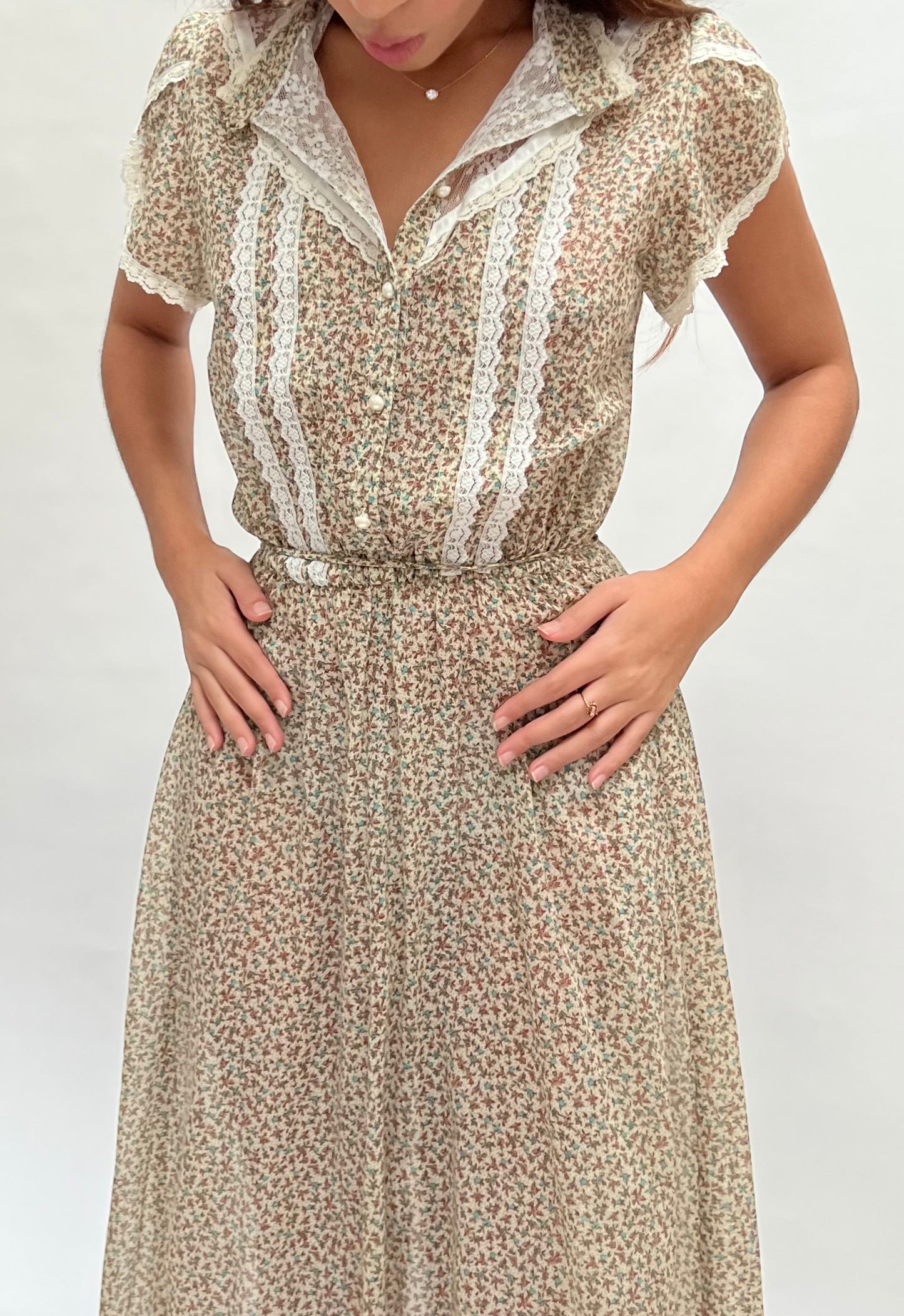 antique sheer dress