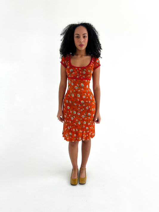 Philosophy di Alberta Ferretti dress