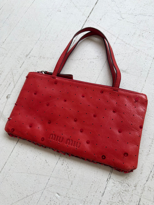 Miu Miu bag